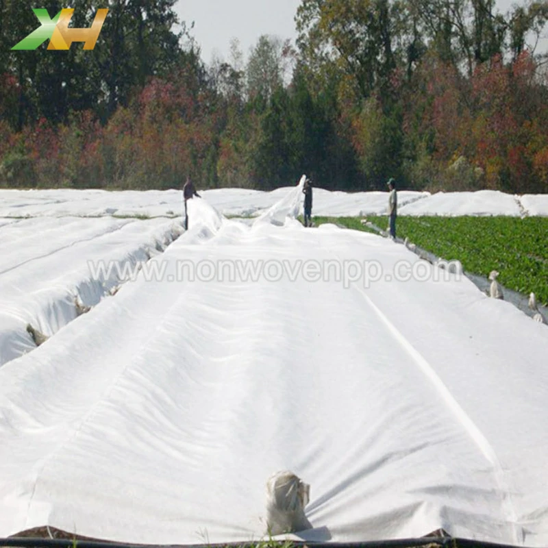 non woven spunbond fabric